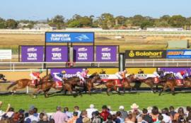 Bunbury Racing Tips