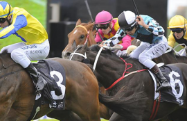 Wednesday Racing Tips