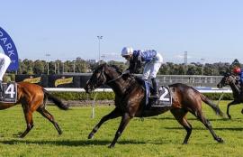 Canterbury Racing Tips