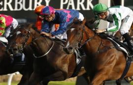 Canterbury Racing Tips