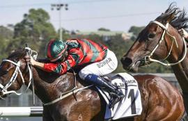 Canterbury Racing Tips Monday October 5th