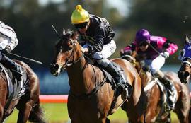 Canterbury Racing Tips Wednesday September 9th