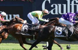 Caulfield Zipping Classic