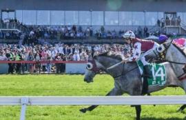 Cranbourne Cup Racing Tips