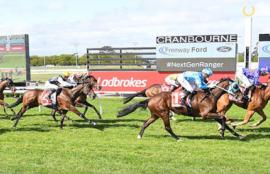 Cranbourne Racing Tips