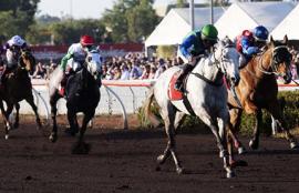 2020 Darwin Cup Day Racing Tips