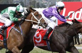 Australian Horse Racing Tips Sunday August 16th
