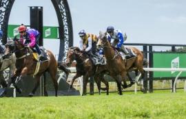 Saturday Racing Tips