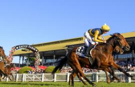 Eagle Farm Racing Tips