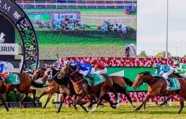 Horse Racing Wednesday Betting Tips