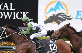 Horse Racing Betting Tips