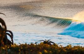 Surfing betting tips