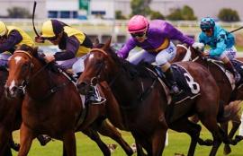 Doomben Racecourse
