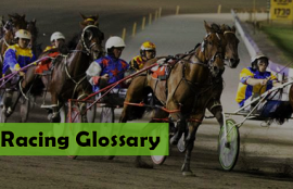 harness racing glossary