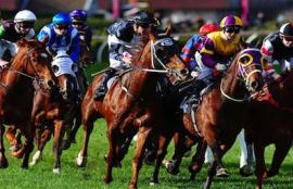 Horse Racing Gear Changes