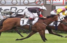 Morphettville Racecourse