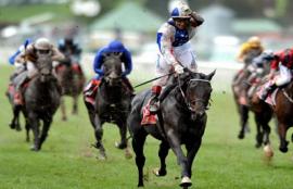 Betting Strategy: Laying the Field