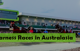 major harness races