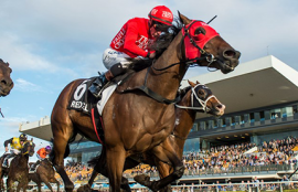 redzel doomben 10,000