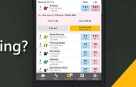 What is Lay Betting?