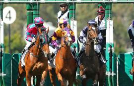 Horse Racing Tips New Year's Day 2021