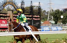 Horse Racing Tips