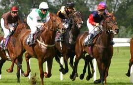 Geelong Cup Racing Tips