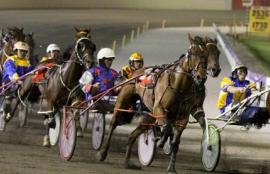 Harness Racing Tips