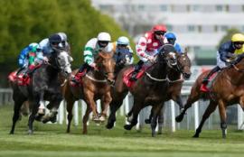 Gold Coast Racing Tips