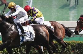 Sha Tin Racing Tips Sunday September 27th