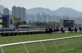 Happy Valley Racing Tips