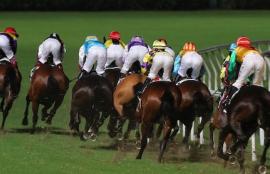 Happy Valley Racing Tips