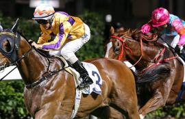 Happy Valley Racing Tips Wednesday September 16th