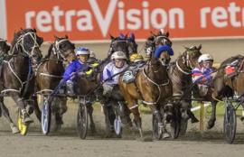 Harness Racing Tips