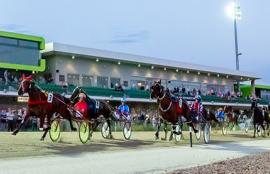 Harness Racing Tips