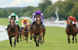 Cox Plate Betting Tips