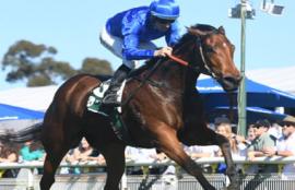 Rosehill Racing Tips