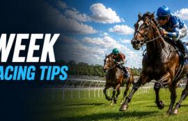 Horse Racing Tips