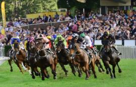Ipswich Racing Tips