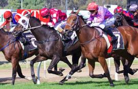 Australian Horse Racing Tips Thursday September 3rd