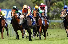 Australian Horse Racing Tips Thursday July 23rd
