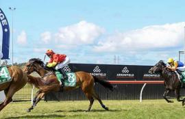 Kembla Grange Racing Tips