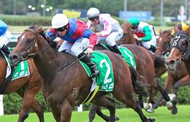 Randwick Kensington Racing Tips Wednesday August 26th