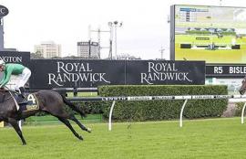 Randwick Kensington Racing Tips