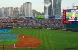 Korean Baseball Betting Tips