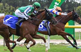 Australian Horse Racing Tips Tuesday September 22nd