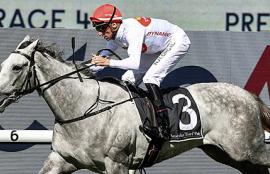 Randwick Racing Tips 2020 Spring Champion Stakes Day