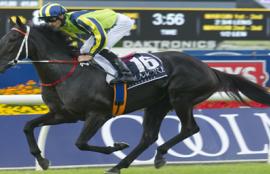 Caulfield Cup tips