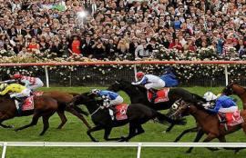 Melbourne Cup Tips