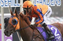 Rosehill Racing Tips Saturday August 8th
